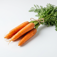 Carrot