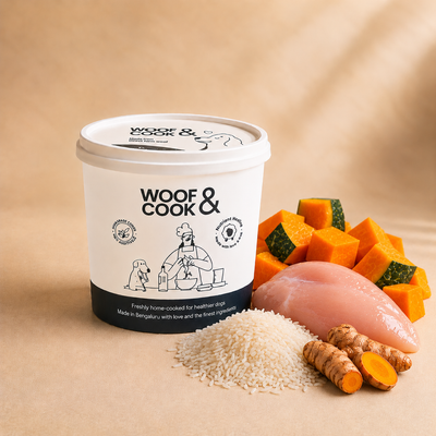 Gut Care Wellness Meal: Digestive Support Dog Food