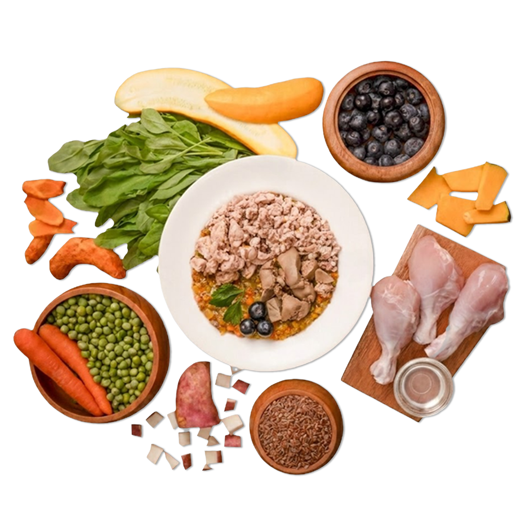Clean Human-Grade Food 